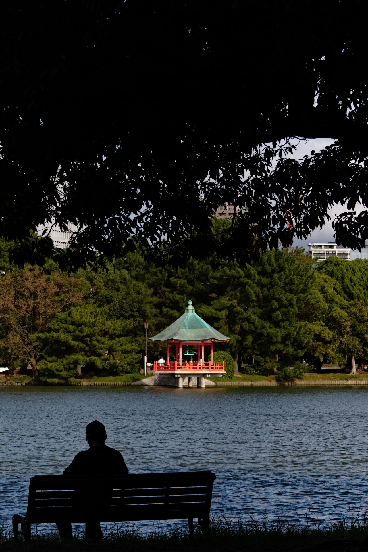 Fukuoka Park Heat Respite