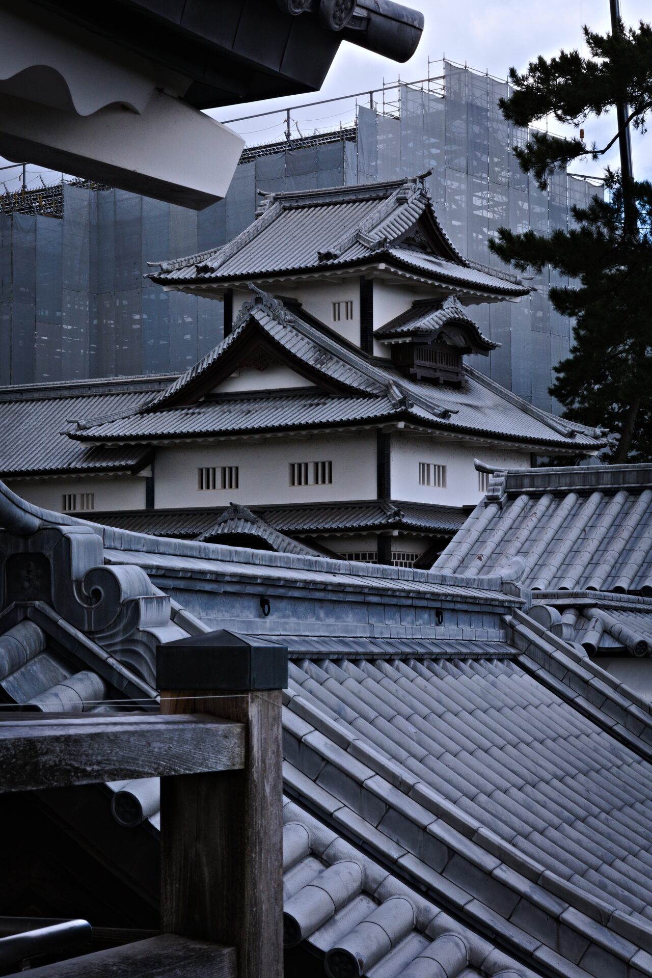 Castle Rooftops