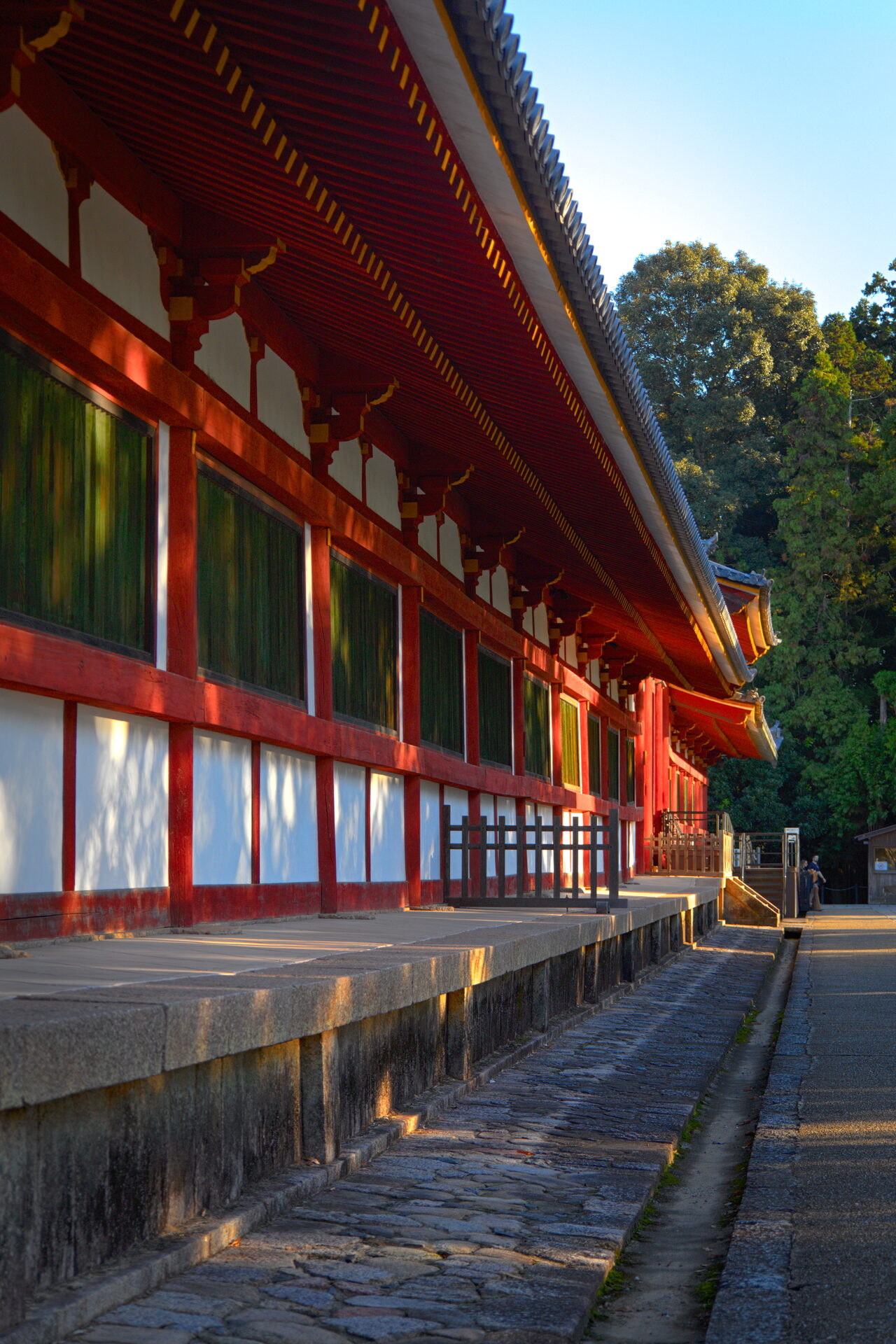 Kasuga Shrine Morning Light